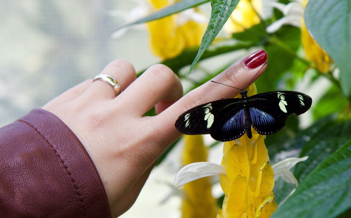 What are nails made of? UK | Blog What are nails made of? UK | Blog